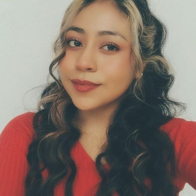 Babysitter in Morelia: Morelia