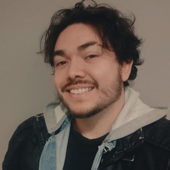 Babysitting job in Balneário Camboriú: Diego