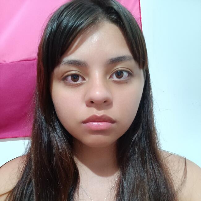 Babysitter in Valparaíso de Goiás: Yasmim