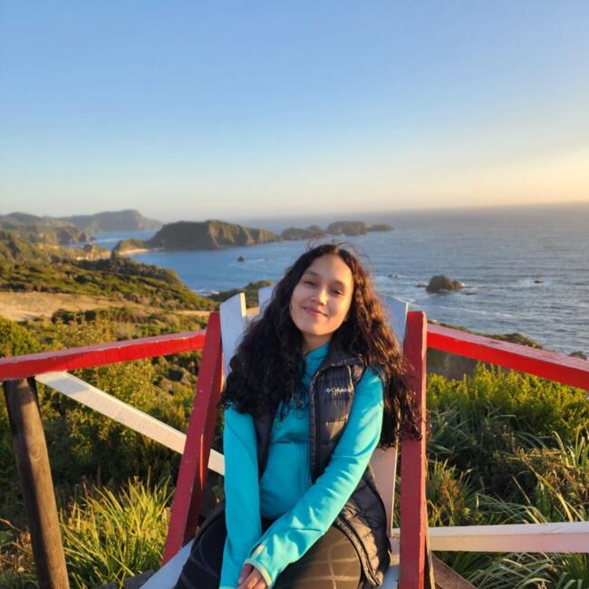 Babysitter in Port Montt: Catalina