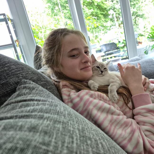 Babysitter in Mechernich: Romi