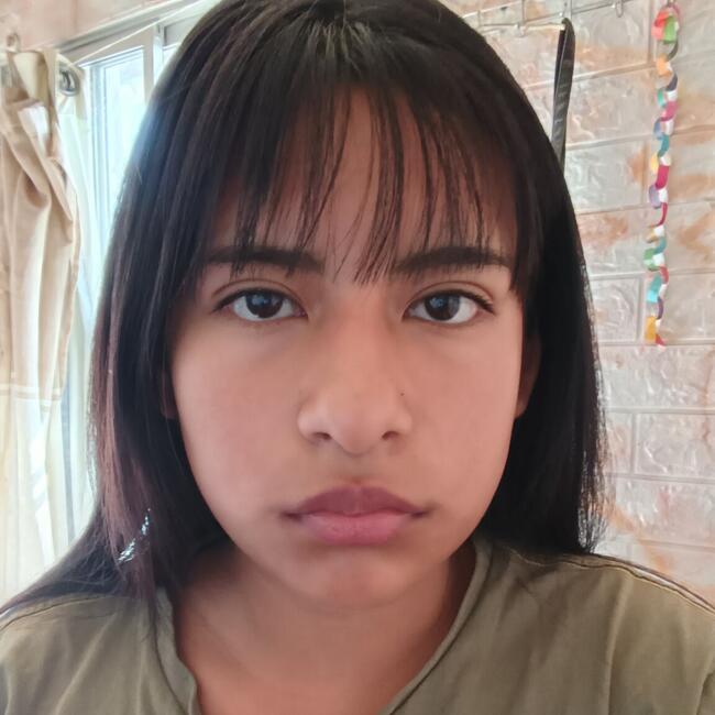 Niñera en Santiago de Chile: Camila