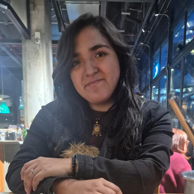 Babysitter in Santiago: Jade