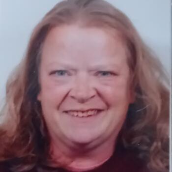 Babysitting job in Nieuwleusen: babysitting job Sanceray