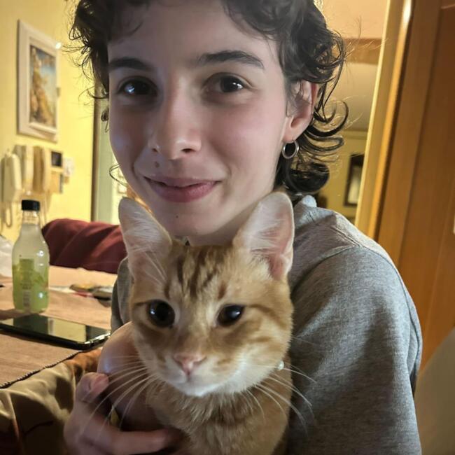 Babysitter στην περιοχή Νέα Ερυθραία: Ειρήνη