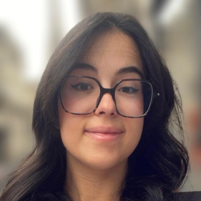 Babysitter in Bordeaux: Romane