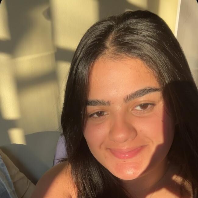 Babysitter in São José dos Pinhais: Alana beatriz Araújo Alves