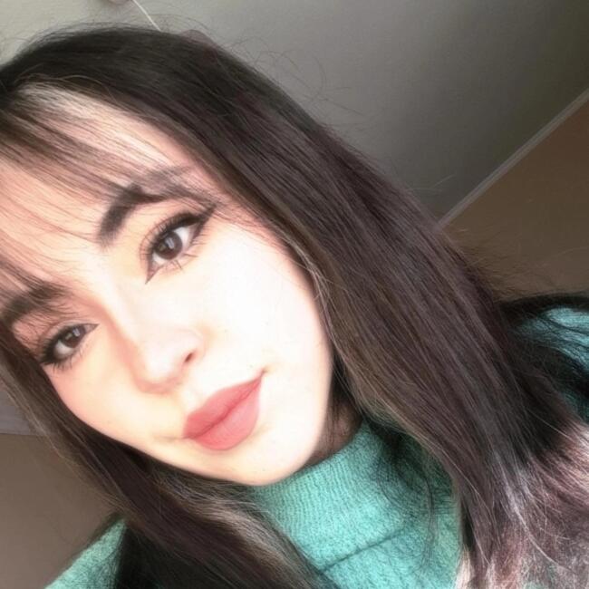 Babysitter in Concón: Aracely