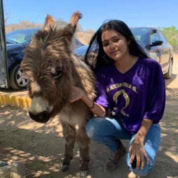 Babysitter Cuernavaca: Ame