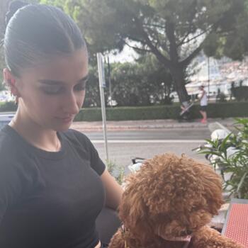Babysitter in Sarajevo: Amina