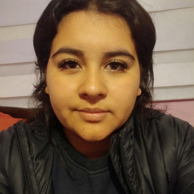 Babysitter in Viña del Mar: Sofia