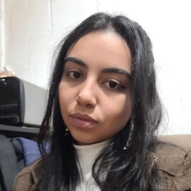 Babysitter in Porto Alegre: Alice