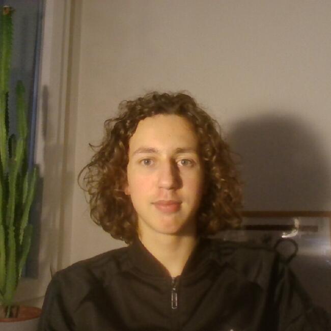 Babysitter in Carouge: Marius