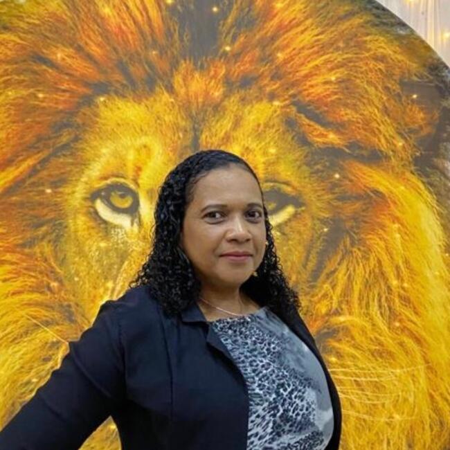 Babysitter in Lauro de Freitas: Williany