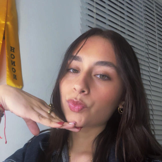 Babysitter in Toa Alta: Amanda