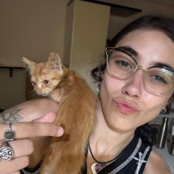 Babysitter Grumo Appula: Nikla