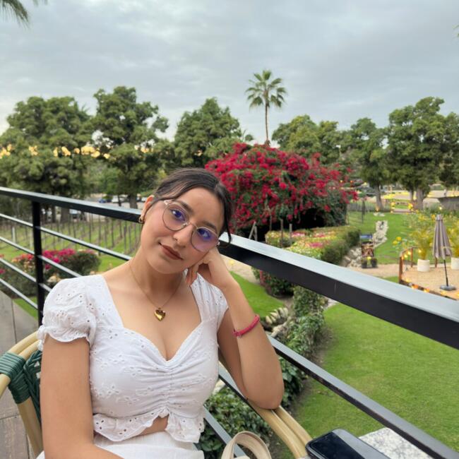 Babysitter in La Paz: Dexire