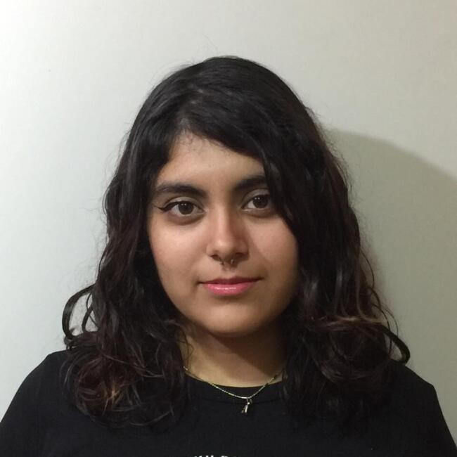 Babysitter in Mexico City: Andrea Mabel