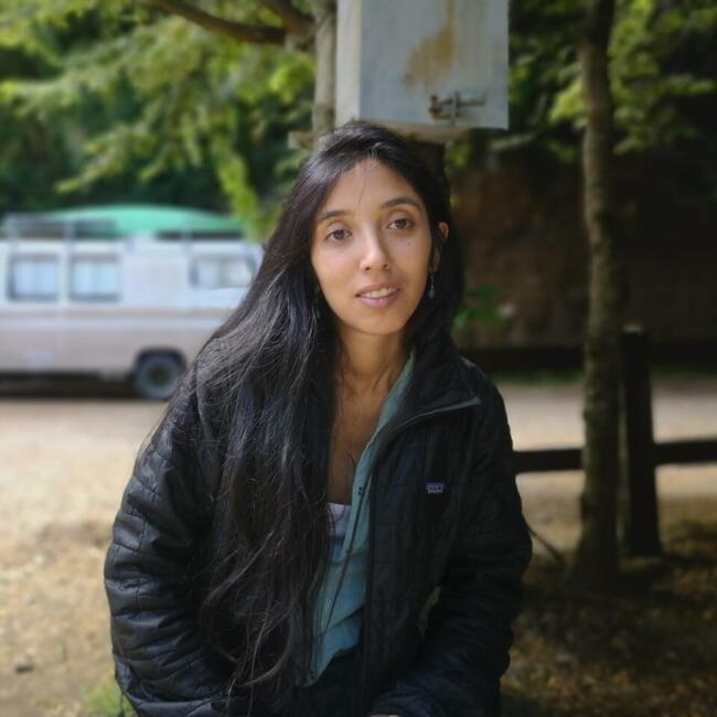 Babysitter in Pucón: Paloma