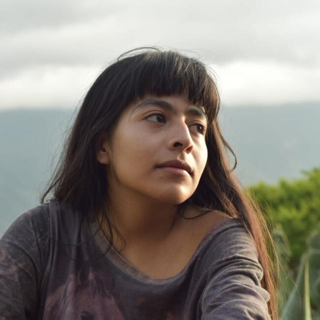 Babysitter in Mexico City: Horte