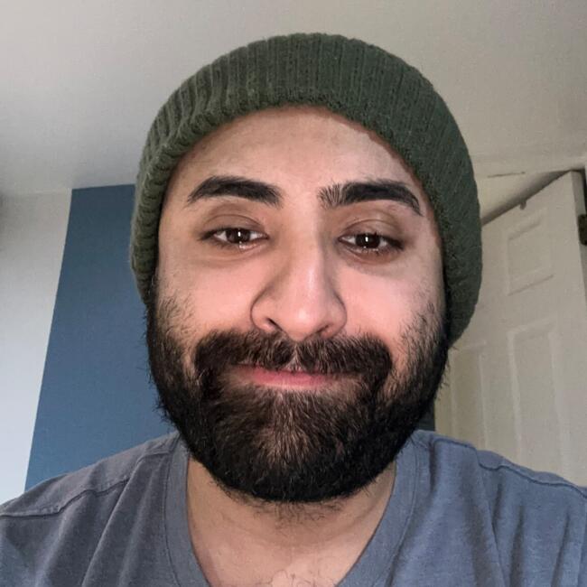 Babysitting job in Westbury: Sanamjit