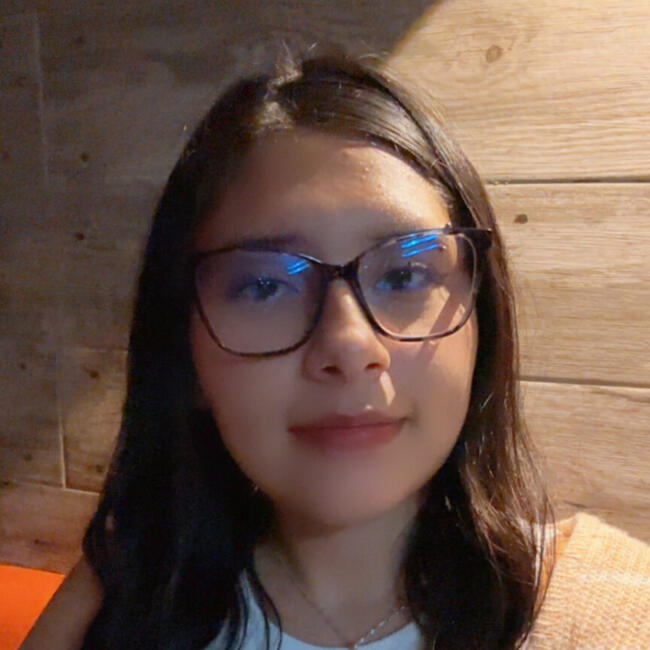 Babysitter in Calama: Catalina