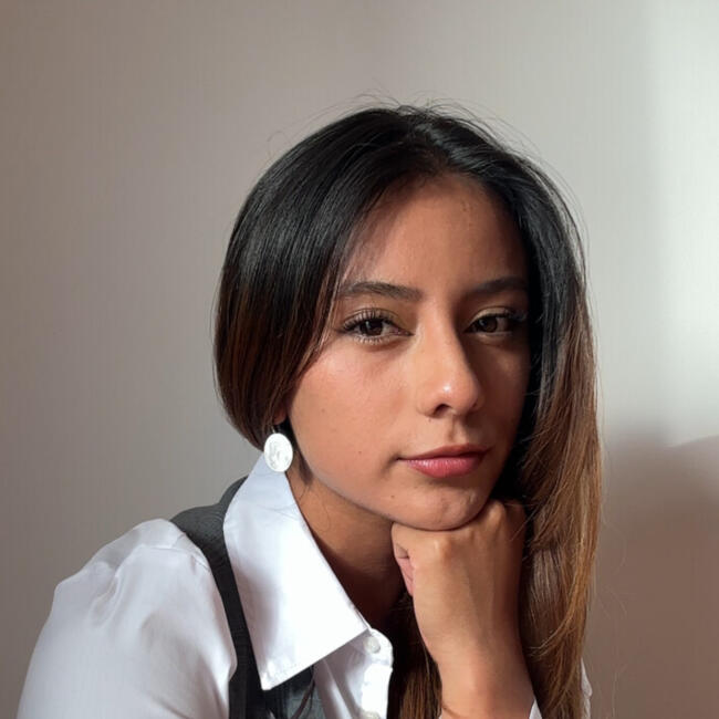 Babysitter em Aveiro: Magerlly Ibarra