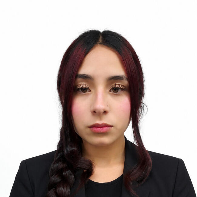 Niñera en Bogotá: Juliana