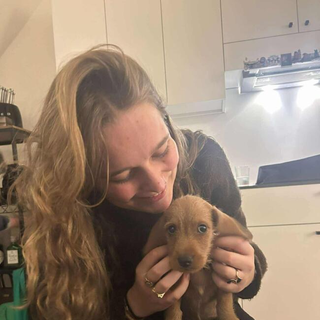 Babysitter in Ninove: Marthe