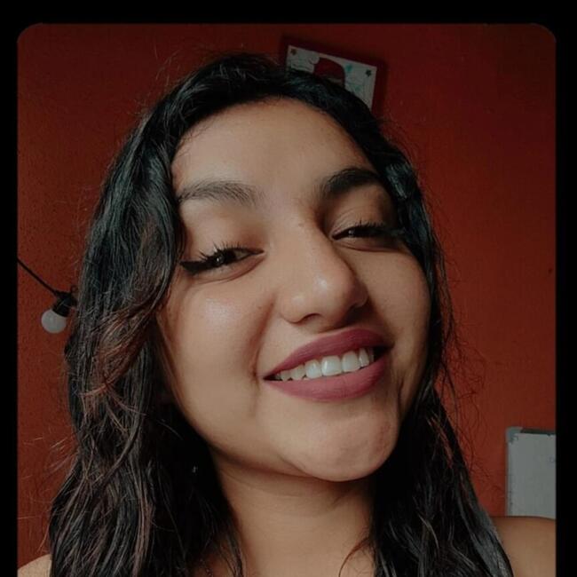 Trabajo para niñera en Calama: Nicole