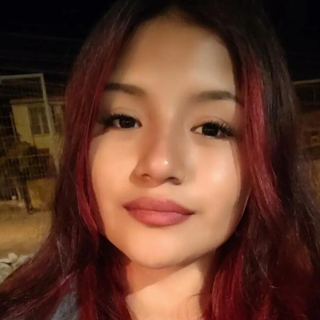 Babysitter in Copiapó: Dalia