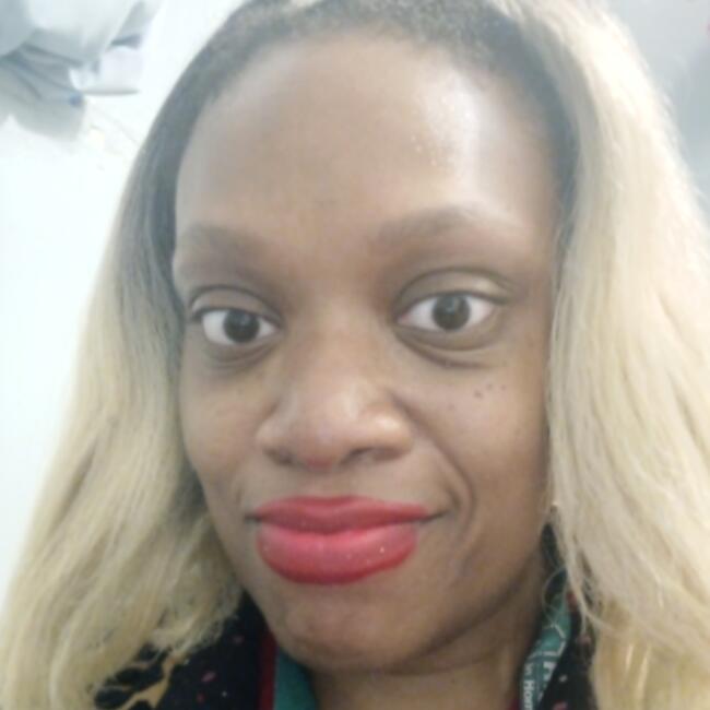 Nanny in Sauk Village: Suzzette