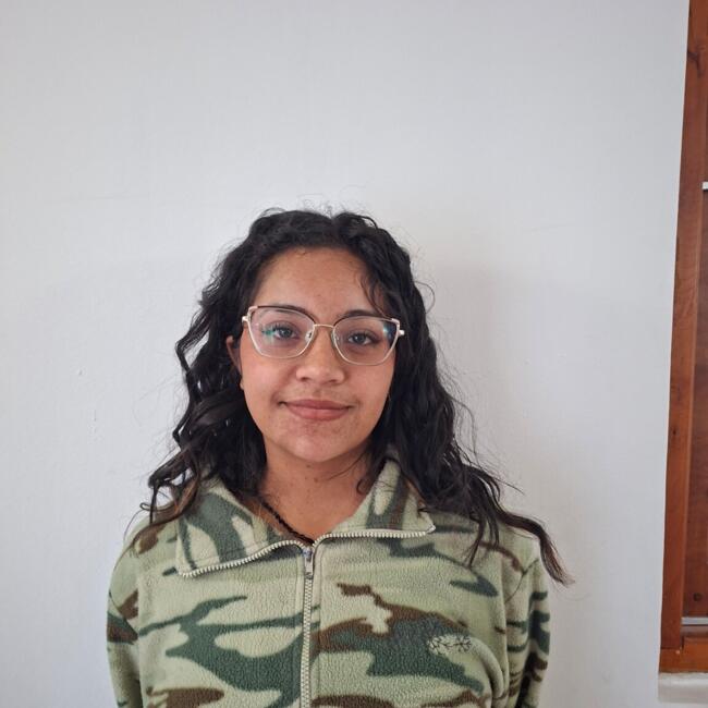 Babysitter in Concepción: Sarai