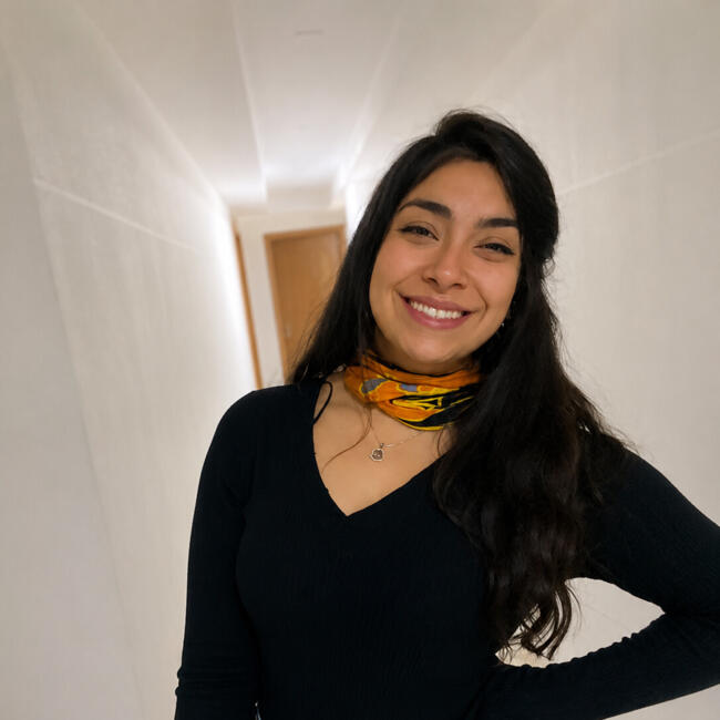 Babysitter in Linares: Damaris