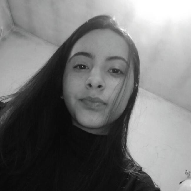 Babysitter in Itajaí: Carla
