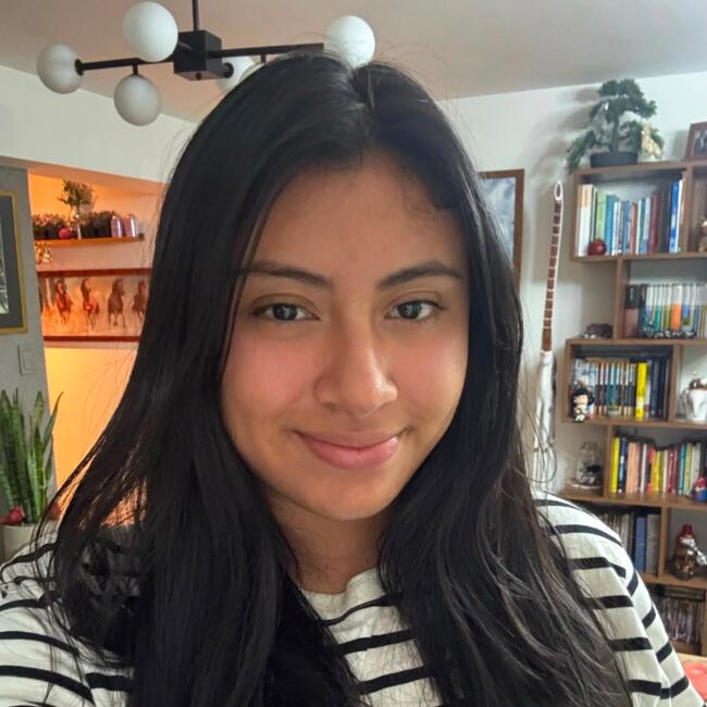 Babysitter in Miraflores District: Micaela