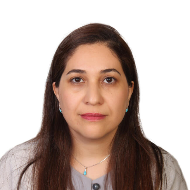 Nanny in Montreal: Roshanak