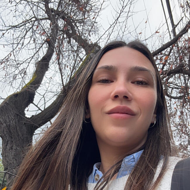 Babysitter in Santiago: Allyson