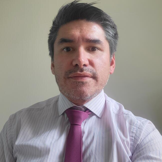 Trabajo para niñera en Coquimbo: Francisco