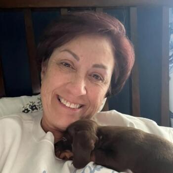 Babysitting job in Orlando: babysitting job Tamara