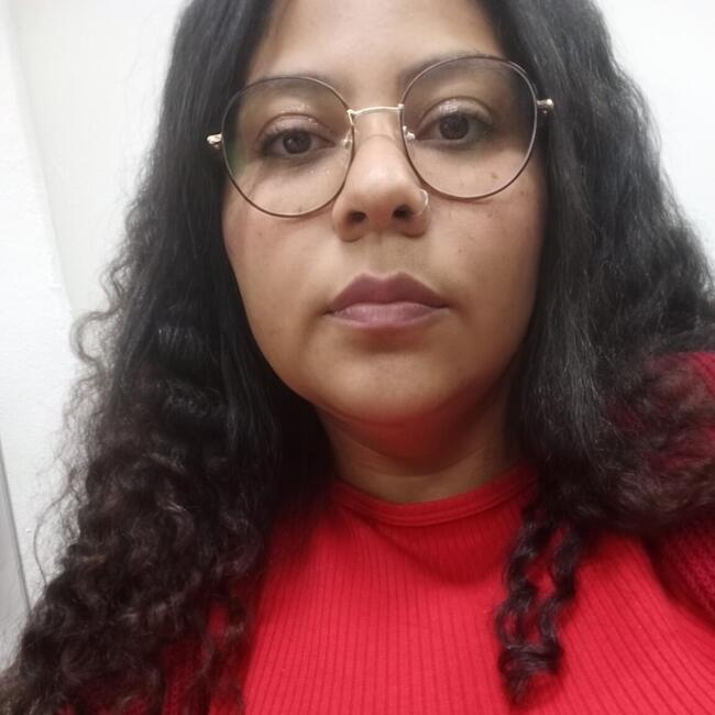 Babysitting job in Santo André: Tamara