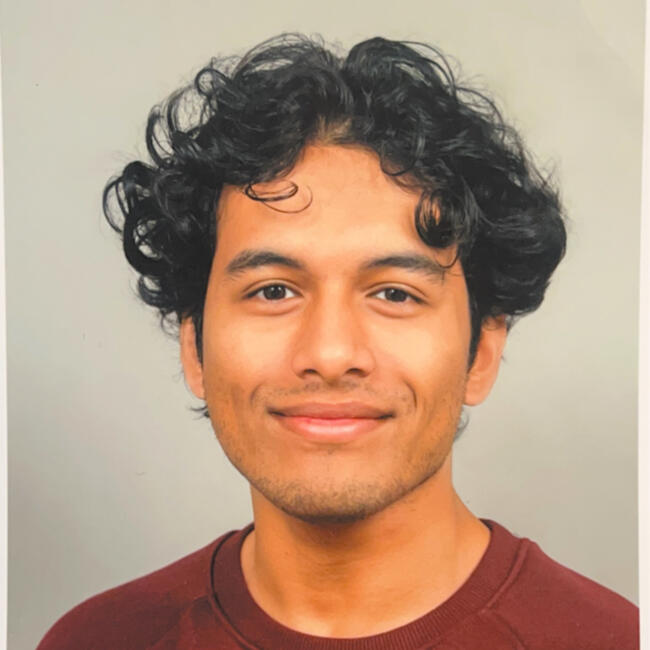 Babysitter in Dresden: Aftaab