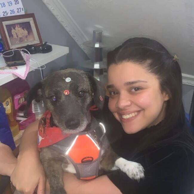 Babá em São Paulo (São Paulo): Bianca