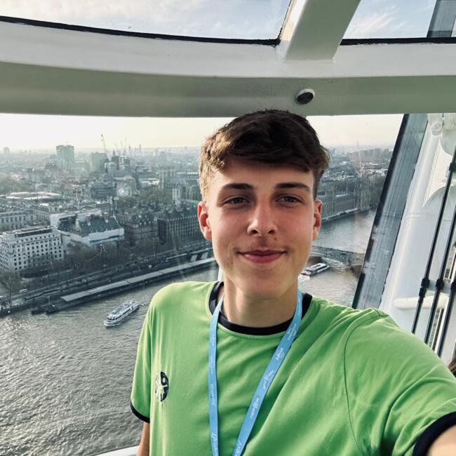 Babysitter in Quinchães: Rafael