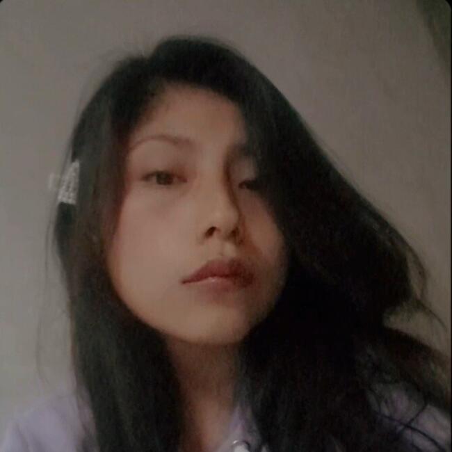 Niñera en Los Polvorines: Anahi Sara