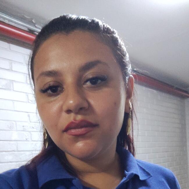 Babysitting job in Osasco: Juliana