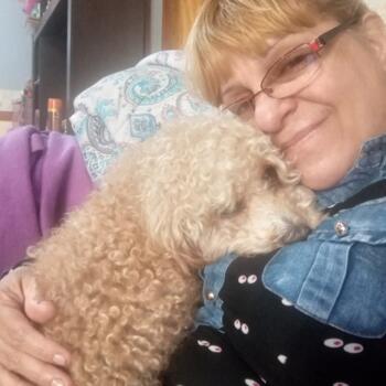 Babysitter in Florencio Varela: Graciela