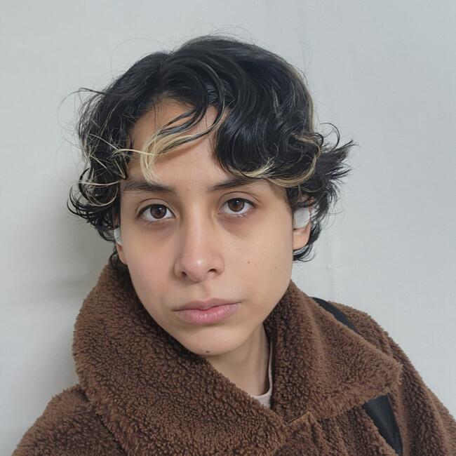 Babysitter in Seoul: Asiri