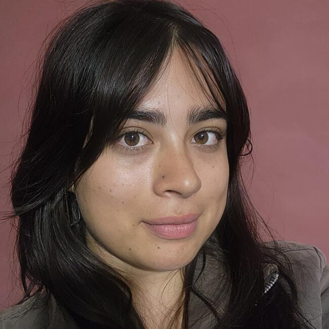 Niñera en Ibagué: Esmeralda