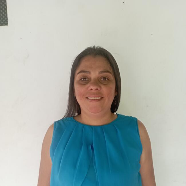 Niñera en Santiago de Chile: Yandris Dayana